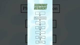 Taxonomic hierarchy -plus one biology (The living world)