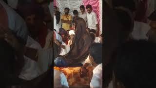 Arjun Bhuvaji Koad jordar dhun #new #whatsappstatus #short #video #arjunbhuvajikoad #sedha_kamodi