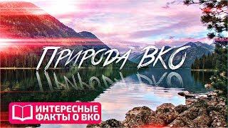 ИНТЕРЕСНЫЕ ФАКТЫ О ВКО: Природа ВКО