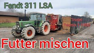 Futter für 80 Milchkühe mischen | Fendt 311 LSA Turbomatik mit Triolet Triomix 1-1000