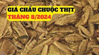 Báo Giá Chẩu Chuộc Thịt Tháng 8/2024  – Trại Giống Đông Sơn