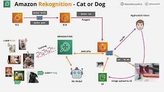 Mini Project - Using Amazon Rekognition and Machine Learning to detect cats and dogs