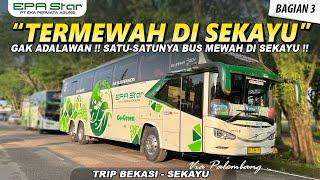 GAK ADA LAWANNYA ! SATU-SATUNYA BUS MEWAH DI SEKAYU I TRIP EPA STAR BEKASI - SEKAYU (3/3)