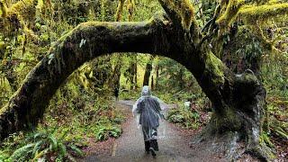 Olympic National Park 2024