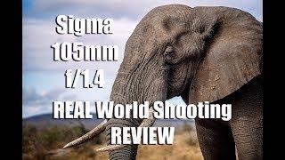 Sigma 105mm f/1.4 Lens Real World Shooting Review- the new Wide Aperture Bokeh Monster Lens!