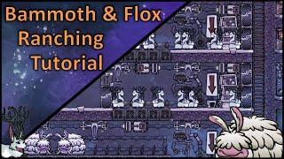 A new infinite resource chain | Bammoth & Flox in-depth Ranching Tutorial | Oxygen Not Included