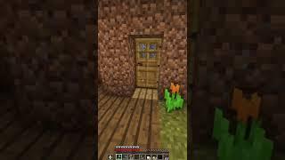 POV: You Finally Found a Spot on 2b2t  #Shorts