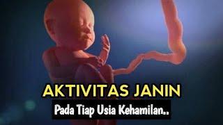 INI AKTIVITAS JANIN TIAP TRIMESTER KEHAMILAN