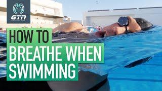 How To Breathe When Swimming | Freestyle Swimming For Beginners