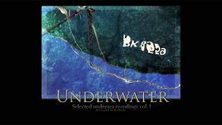 Hydrophone recording - underwater sounds of diving high quality