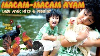 Lagu Macam Ayam Populer | Lagu Macam - Macam Ayam | Lagu Anak Hits Dan Populer Sepanjang Masa