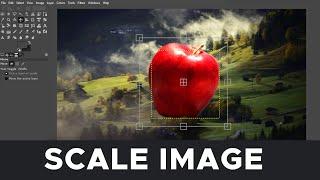 How to scale an image/layer in GIMP (2024)