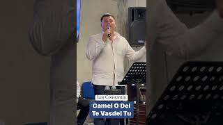Leo Constantin - Camel o Del te Vazdeltu ( 2023) Video official