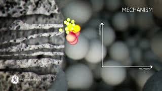 Principles of gel filtration chromatography  size exclusion chromatography