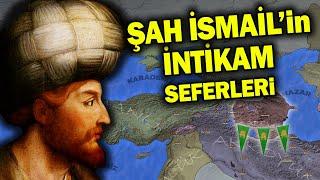 Şah İsmail Safevi Devletini Nasıl Kurdu ? Şahın Çocukluk Dönemi (1487-1505)