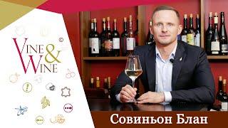 Совиньон Блан мира / Sauvignon Blanc of the World