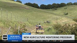 New California agricultural mentoring program aims to seed next generation of farmers