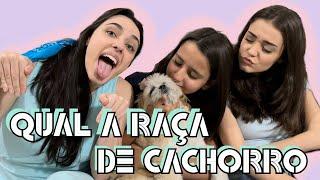 QUAL  a RAÇA de CACHORRO?? | As 3 Gerações