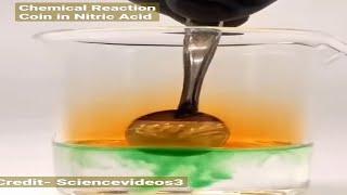 Chemical Reaction -Coin in Nitric Acid. #Knowledge Hub, #Chemistry, #Chemical Reaction