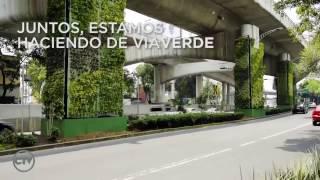 Jardines verticales bajo un puente en México, por Verde Vertical