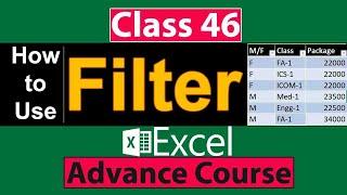 How to Use Filter Data Option in Ms Excel in Urdu - Class No 46
