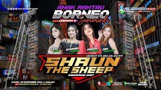 LIVE SHAUN THE SHEEP - ANAK RANTAU BORNEO SAMARINDA PART 2 - MBAMBANG CLUWAK PATI | COUNSTITY AUDIO