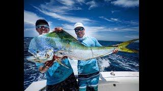 "How To" Fish and Catch Mahi Mahi Video