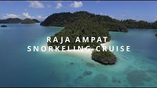 Raja Ampat snorkeling cruise aboard WISESA