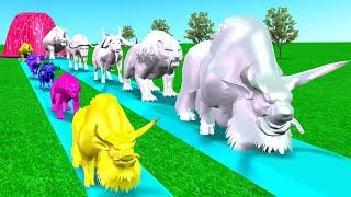 Paint Animals Adventure! Cow to Bison Transformations | Cartoon Animal Magic