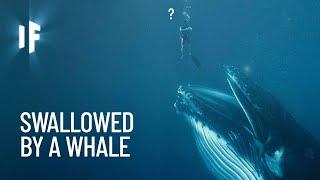 What If You Were Swallowed by a Whale?