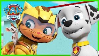 ¡Rescates en moto de La Patrulla de Cachorros junto a la Cuadrilla Cat y más! - PAW Patrol Español