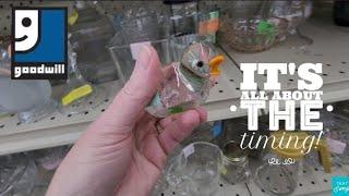 It's All About the Timing! - Shop Along With Me - Goodwill Thrift Store