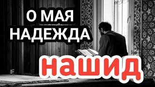 НАШИД О МАЯ НАДЕЖДА.КРАСИВЫЙ НАШИД