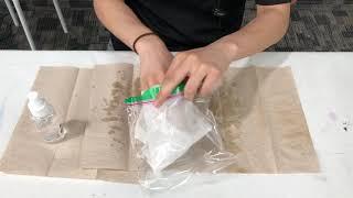 STEM - Lima Beans in a Bag