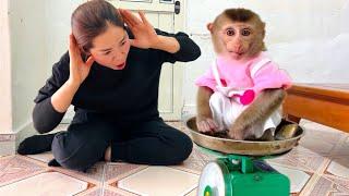 Monkey Tina surprised her mother because her weight increased so quickly.