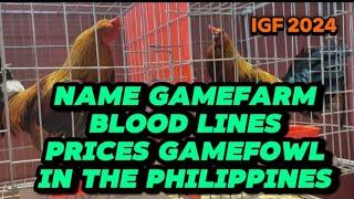 IGF 2024 the Hobby Expo of Gamefowl Pasay Philippines