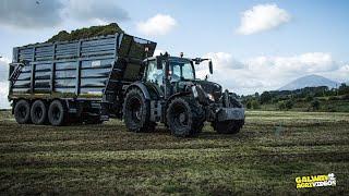 Hillcrest Farming - Pushing Hard With Second Cut 2024