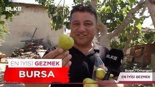 En İyisi Gezmek - Bursa | 17 Ağustos 2024