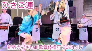 【本編|阿波踊り|ひさご連】正調阿波おどりの真骨頂が新宿を圧倒！ 2024.4.7 歌舞伎横丁|東急歌舞伎町タワー|高円寺阿波おどり