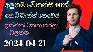 job vacancy 2024 job vacancies Job guide sri lanka |job interview |jobs at home|goverment jobs  sl