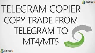 TELEGRAM COPIER (Copy Trade From Telegram to MT4/MT5)