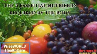 The 5 essential nutrients required by the body by WiseWORLD HealthCare