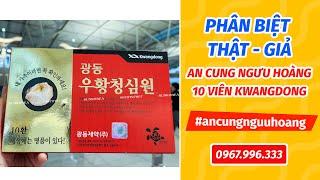 AN CUNG NGƯU HOÀNG HOÀN 10 viên - Làm Sao Để Phân Biệt Được Hàng Thật - Hàng Giả - 500k,750k,1tr200