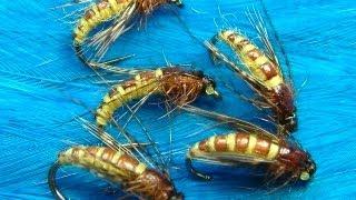 Tying the McPhail Caddis Pupa by Davie McPhail.