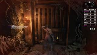 Sekiro: Shadows Die Twice - World's First No Damage Run (Immortal Severance)