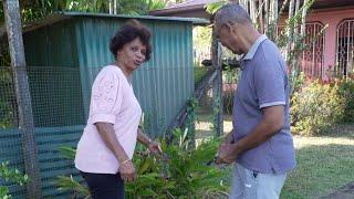 Caribische sporen in Suriname (2): Ze raakte smoorverliefd en ging niet meer terug naar Aruba