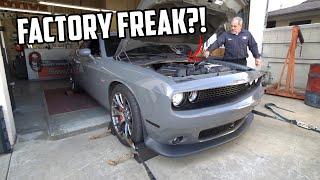 STOCK 2017 CHALLENGER SRT 392 DYNO RESULTS! CRAZY POWER!!