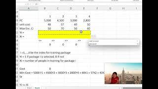 Linear Programming with Binary and Integer Decision Variable