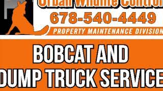 Bobcat and dump truck service North metro Atlanta