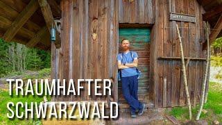 Traumhafter Schwarzwald | Natur in NRW | 2022 | Jörg Müller